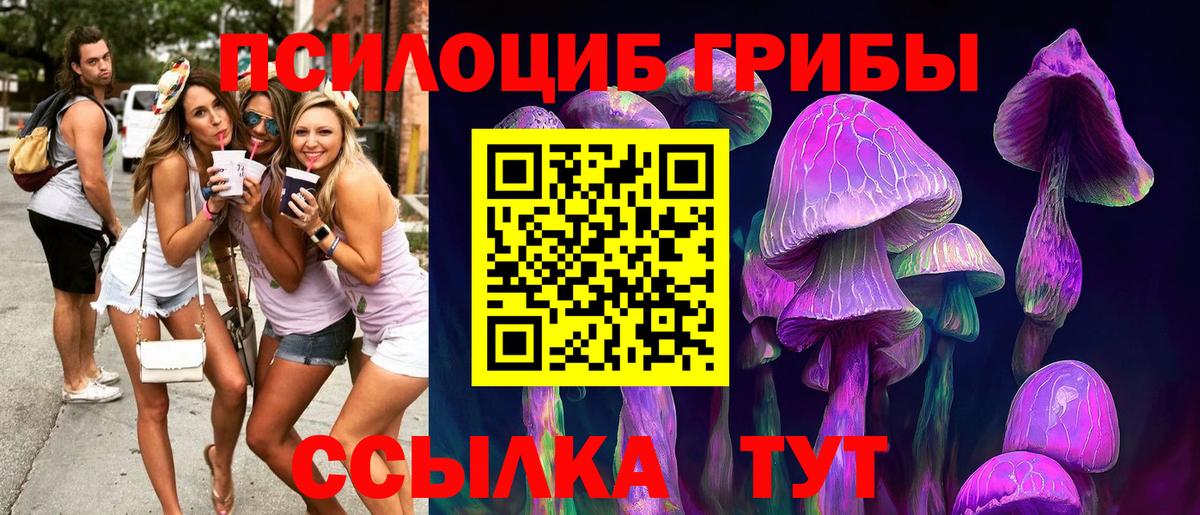 Галлюциногенные грибы Cubensis Баксан