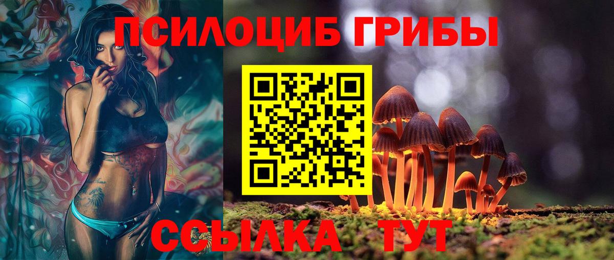 Баксан  Галлюциногенные грибы прущие грибы  Вход с VPN 